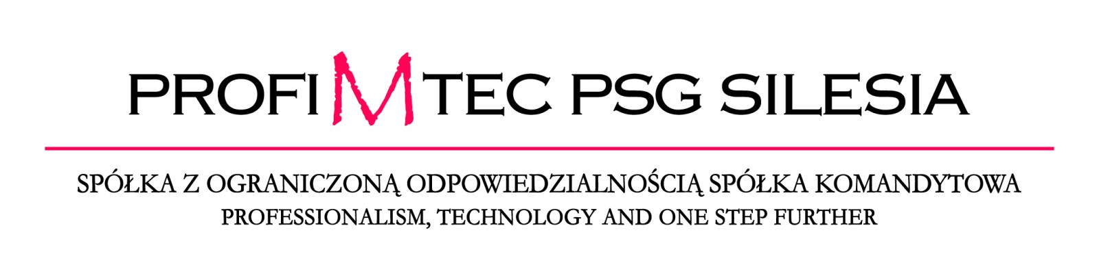 Profi M Tec PSG Silesia Sp. z o.o. Sp. K.